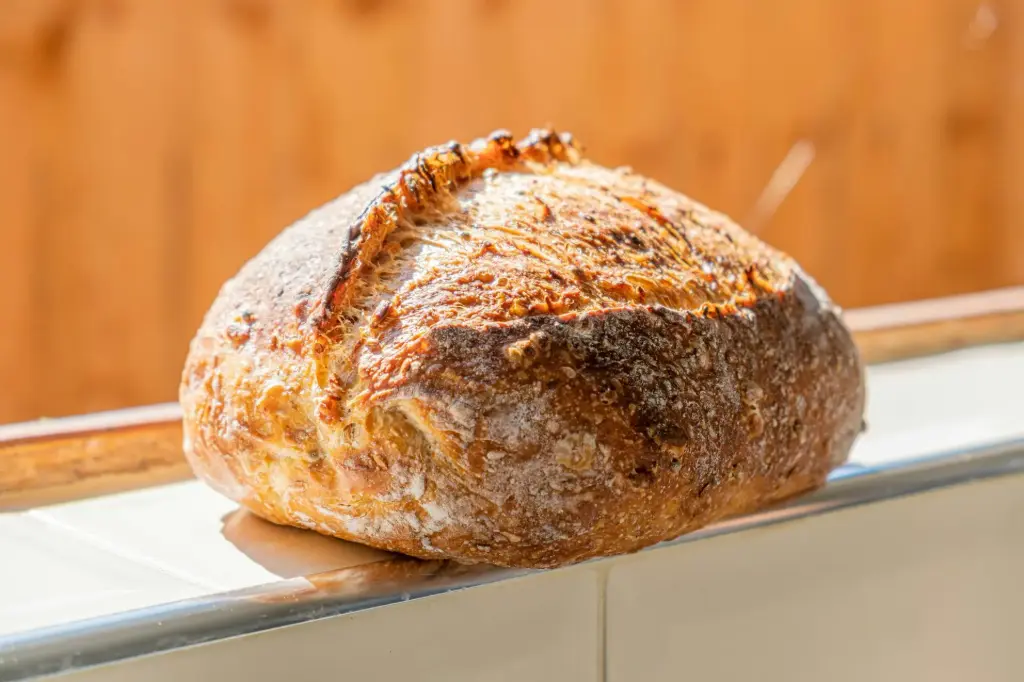 Sourdough Bread